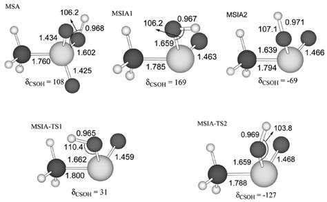 structural representations   msa msa msa   transition