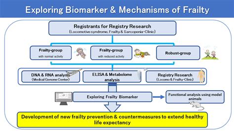 Pathophysiology And Biomarker Search For Frailty Due To Reduced