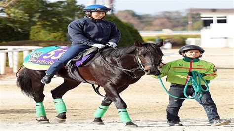 【有馬記念】古馬の風格が出たジャスティンパレス 杉山晴調教師「古馬らしく、どっしりとした」 2023年12月19日掲載 ライブドアニュース