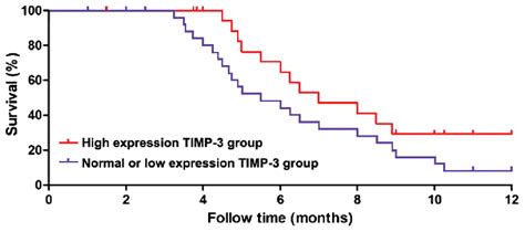 correlation  timp  expression level  survival time