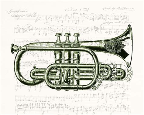 Band Instrument Trumpet Cornet Vintage Drawing Great Musical