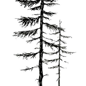 Pine Tree Line Drawing at PaintingValley.com | Explore collection of ...