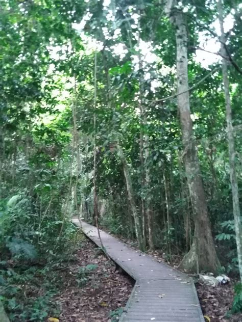 K M Cheng Travel Journal Malaysia Taman Negara National Park Kuala