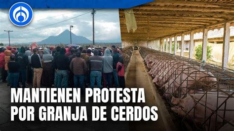 Queda Libre Alcalde De Perote Veracruz Se Mantienen Protestas Contra