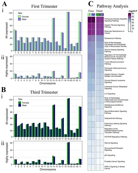 Sex Differences In MicroRNA Expression In First And Third Trimester Human Placenta