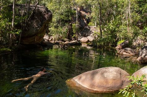 Premium Photo Naked Man Swimming In Lake