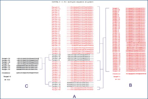 Multiple Sequence Alignment Of Predicted Sirna Target Sequences A