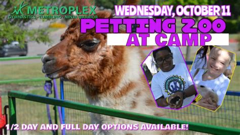 Petting Zoo Fb Postermywall