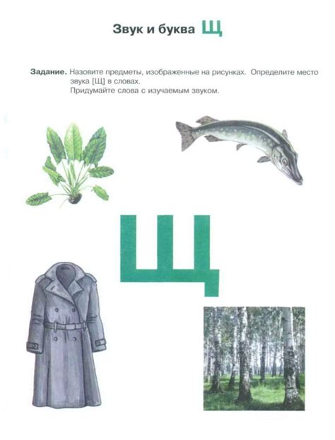 Учим букву Щ | Задания с буквой Щ
