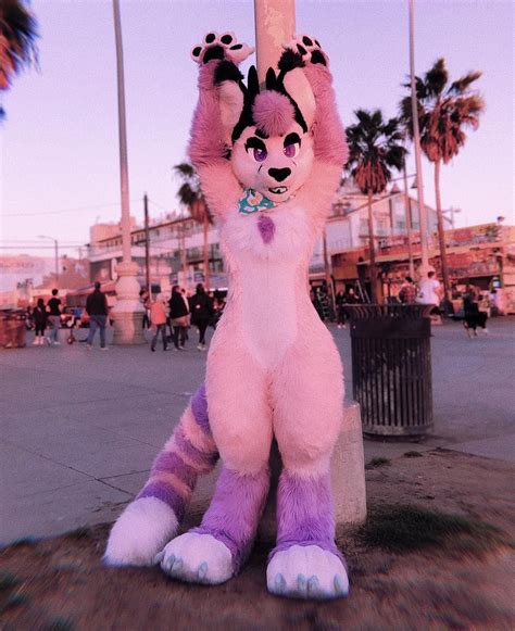 🖤 Bismol Bizzy” Cheshire 🖤 On Instagram Happy Fursuitfriday 💕💖