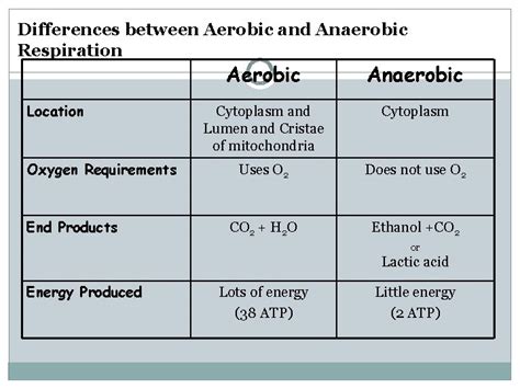 Word And Balanced Symbol Equation For Aerobic Respiration - Tessshebaylo