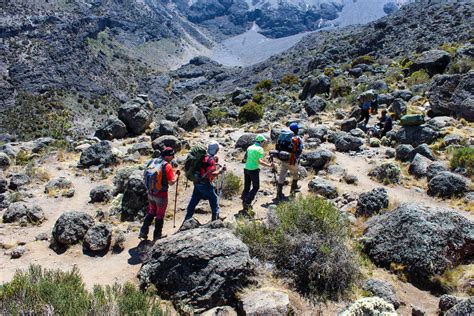 Ruta Lemosho Tanzania Joy Tours I Ascenso Al Kilimanjaro I Safari