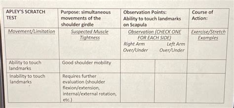 Solved APLEY'S SCRATCH TEST Movement/Limitation Ability to | Chegg.com