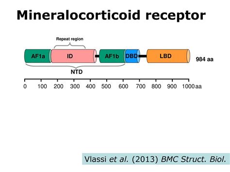 Repeats And Composition Bias Ppt Download