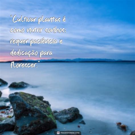 Reconectar Com A Natureza Frases - Frases Inspiradoras para Cultivar Plantas e Conectar-se com a Natureza ...