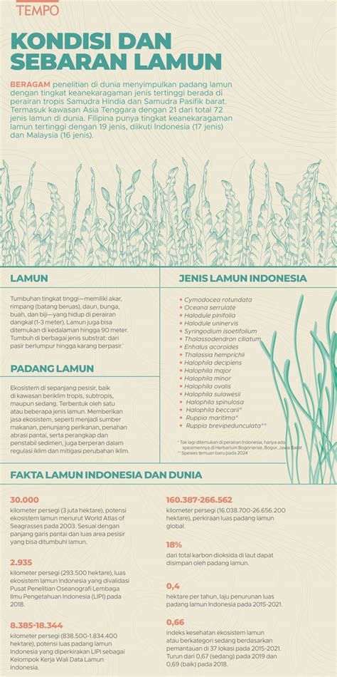 sebaran lamun indonesia tempoco