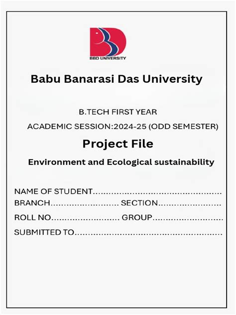 babu banarasi das university