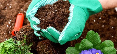 Удобрения для комнатных растений и цветов - Комнатные растения