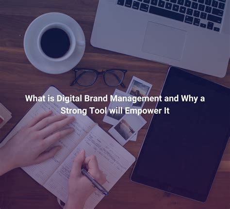 Digital Brand Management and How a Strong Tool will Empower It
