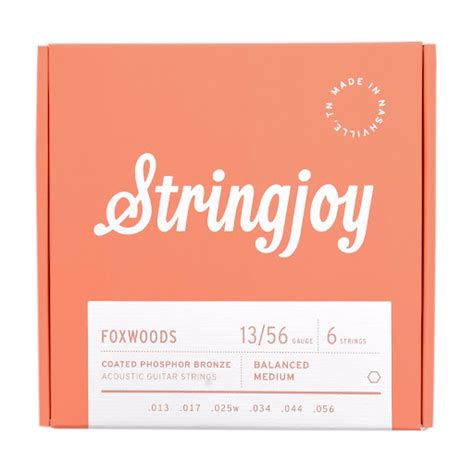 Best Sounding Acoustic Guitar Strings 2025 Update Remix Mag
