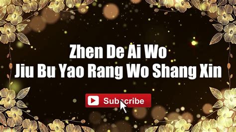 Zhen De Ai Wo Jiu Bu Yao Rang Wo Shang Xin Gloria Yip Lyrics Lyricsvideo Singalong Video