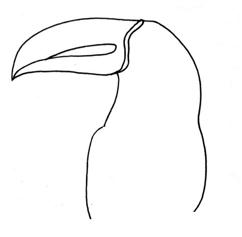 How To Draw A Toucan Step By Step Bujo Babe