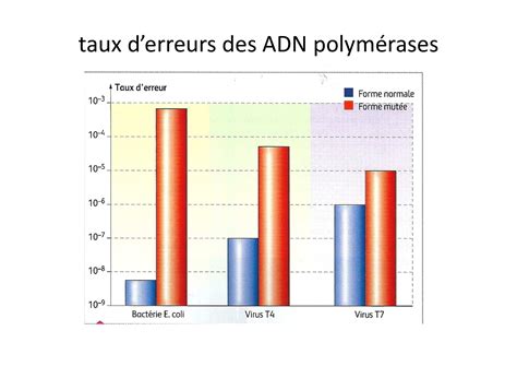 Chapitre 2 Les mutations source de variabilité génétique AlloSchool