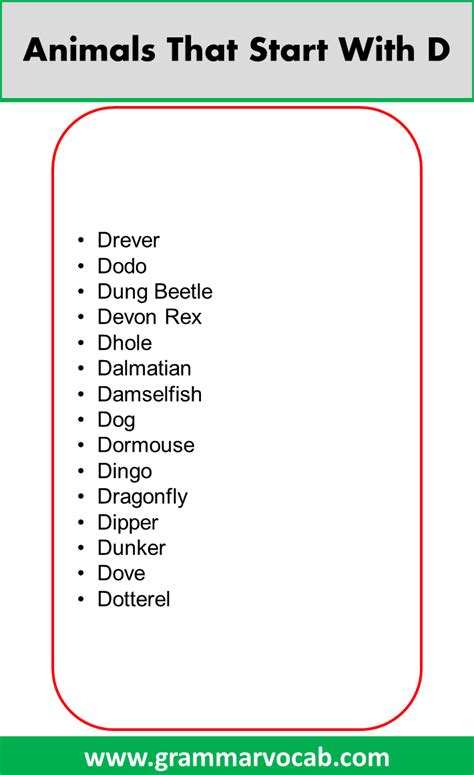 List Of Nouns That Start With D Grammarvocab