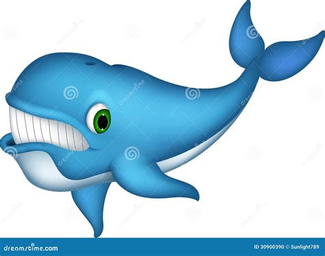 Whale Cartoon | CartoonDealer.com #71209055