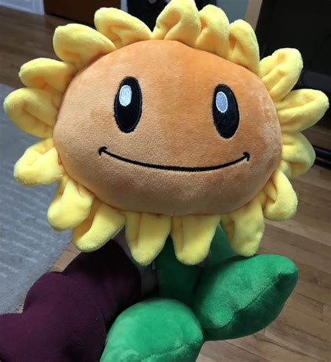 Sunflower Pvz Plush Deals Discounted | www.pinnaxis.com