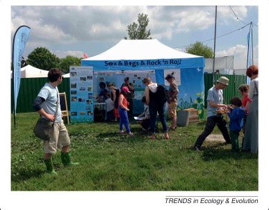 Sex Bugs Rock N Roll Getting Creative About Public Engagement