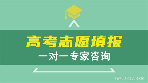 高考志愿填报一对一专家咨询