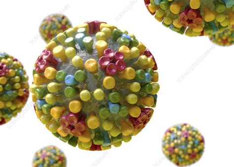 Bluetongue virus structure, illustration - Stock Image - F027/4201 ...