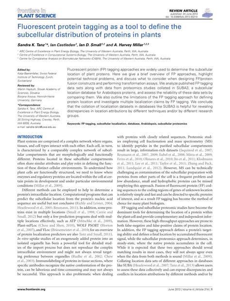 Pdf Fluorescent Protein Tagging As A Tool To Define The Subcellular