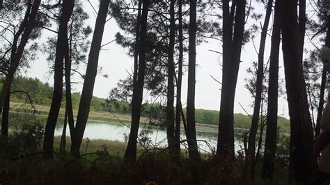 At The Water S Edge Gay Porn Xhamster