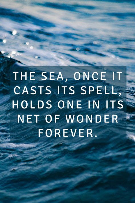 7 Coral Reef Quotes Ideas In 2021 Coral Reef Reef Coral