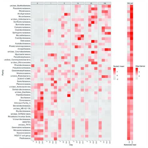 Heatmap With The Relative Abundance Of The Top 50 Most Abundant