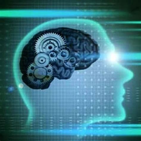 Mental Focus in Surat | ID: 1246838112