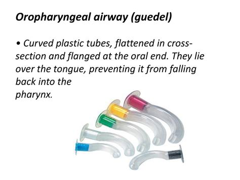 Oropharyngeal Airway And Nasopharyngeal Airway