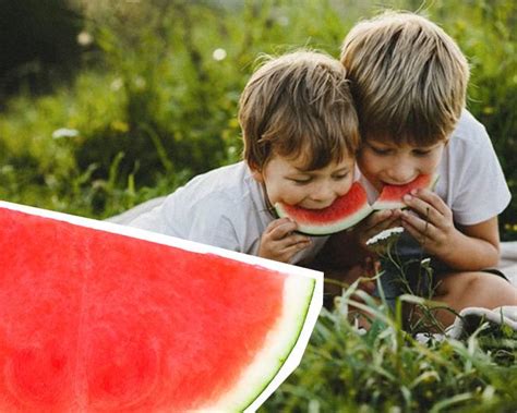 Descubre los grandes beneficios de la sandía