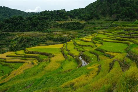 The Town Of Bontoc In The Mountain Province Fun In The Philippines