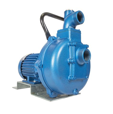Self Priming Trash Pumps Regent Pumps