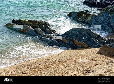 typical shingle beach  res stock photography  images alamy