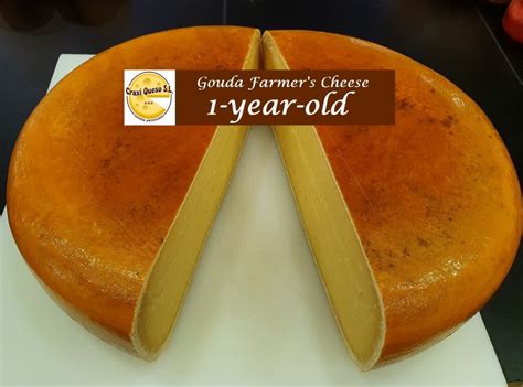 Gouda Cheese 12 Months Gouda 1 Year Old Gouda Cheese