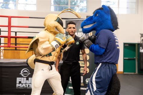 Sacramento State And Uc Davis Bring Collegiate Boxing Back To The