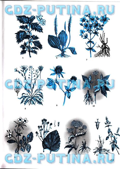 Решебник, ГДЗ по обж 6 класс Смирнов Хренников рабочая тетрадь - ответы ...