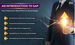 Txst Sap The Unexpected Benefits Youre Not Taking Advantage Of