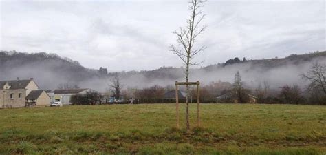 Prix Moyen Des Terrains à Muret Le Château 12330 Terrain