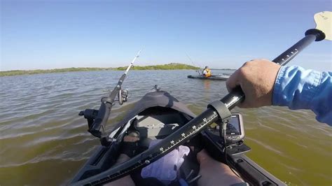 Mosquito Lagoon Fishing Youtube