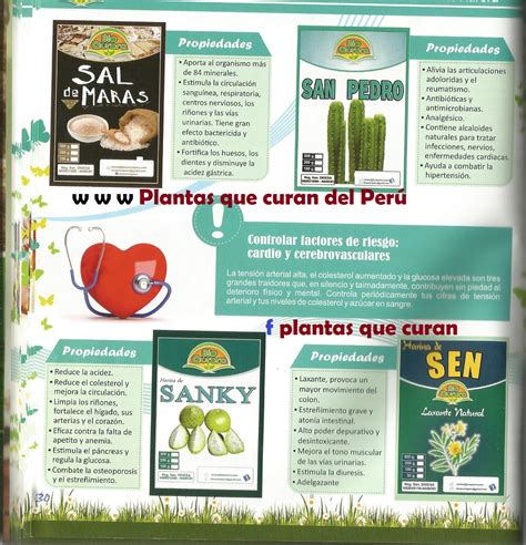 Plantas Que Curan Del Peru Catalogo De Productos Plantas Que Curan